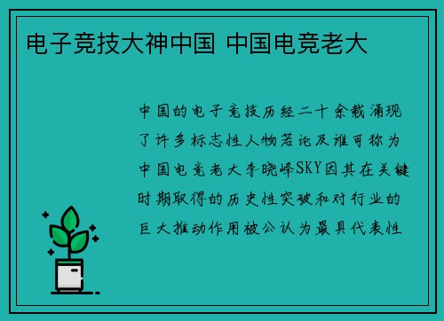 电子竞技大神中国 中国电竞老大